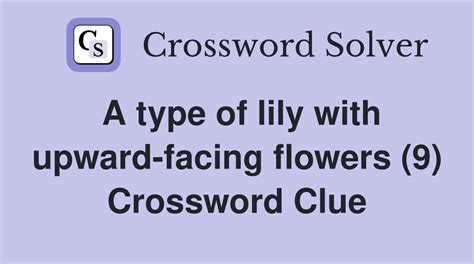 type of lily crossword clue|type of lily pl crossword.